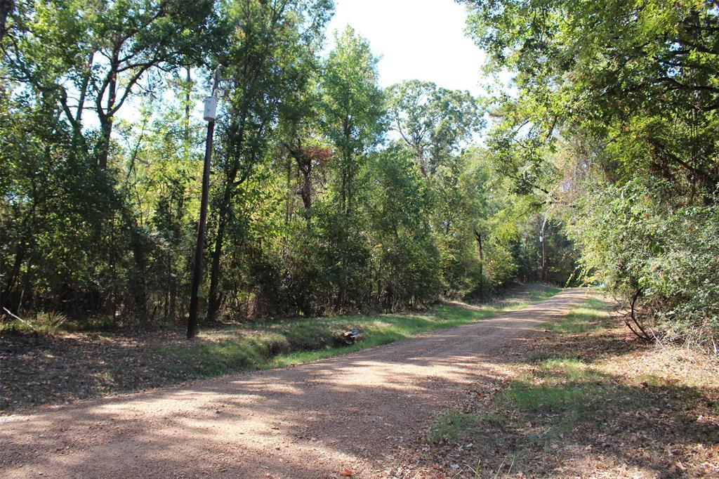 Forest, 48577089, Crockett, Lots,  for sale, PROPERTY EXPERTS 