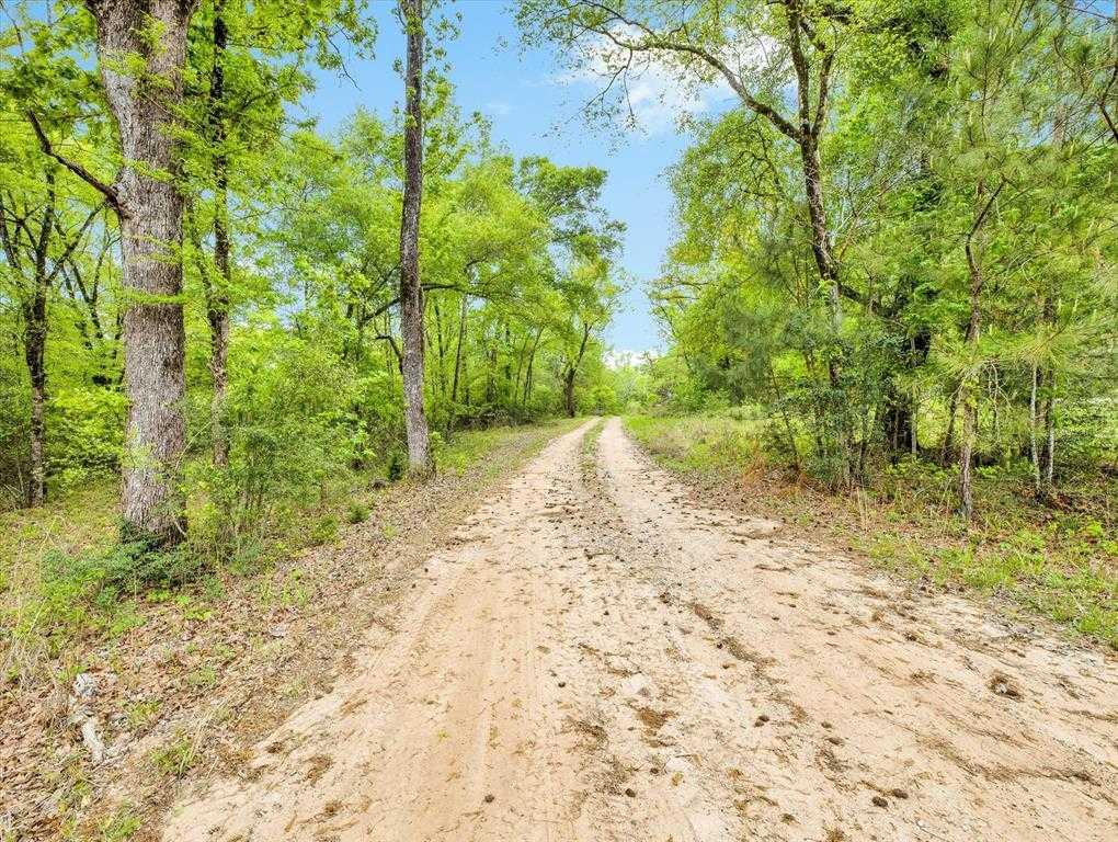 Angus Ranch Rd, 5674260, Huntsville, Country Homes/Acreage, PROPERTY EXPERTS 