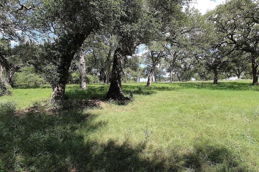 1801 FM 1383, 65399310, Schulenburg, Country Homes/Acreage, PROPERTY EXPERTS 