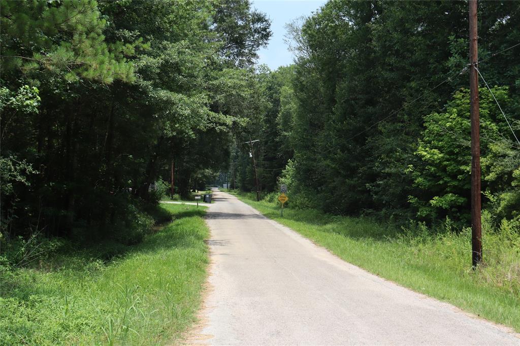 County Road 3812, 48409006, Cleveland, Lots,  for sale, PROPERTY EXPERTS 