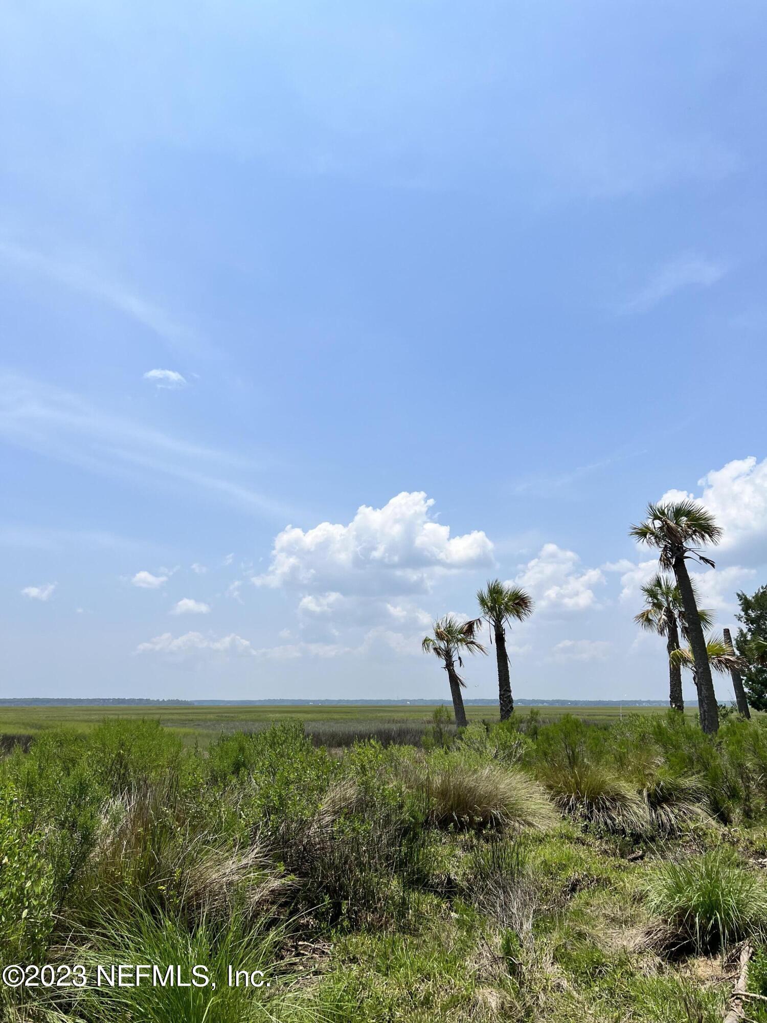 94014 CHRISTOPHER, 1236590, Fernandina Beach, Unimproved Land,  sold, PROPERTY EXPERTS 