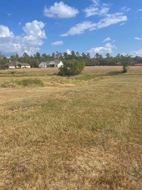 18803 Serene Water, 80560404, Montgomery, Lots,  for sale, PROPERTY EXPERTS 