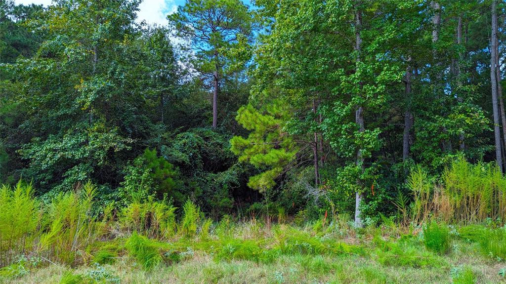 69 Tranquil, 23901784, Huntsville, Lots,  for sale, PROPERTY EXPERTS 