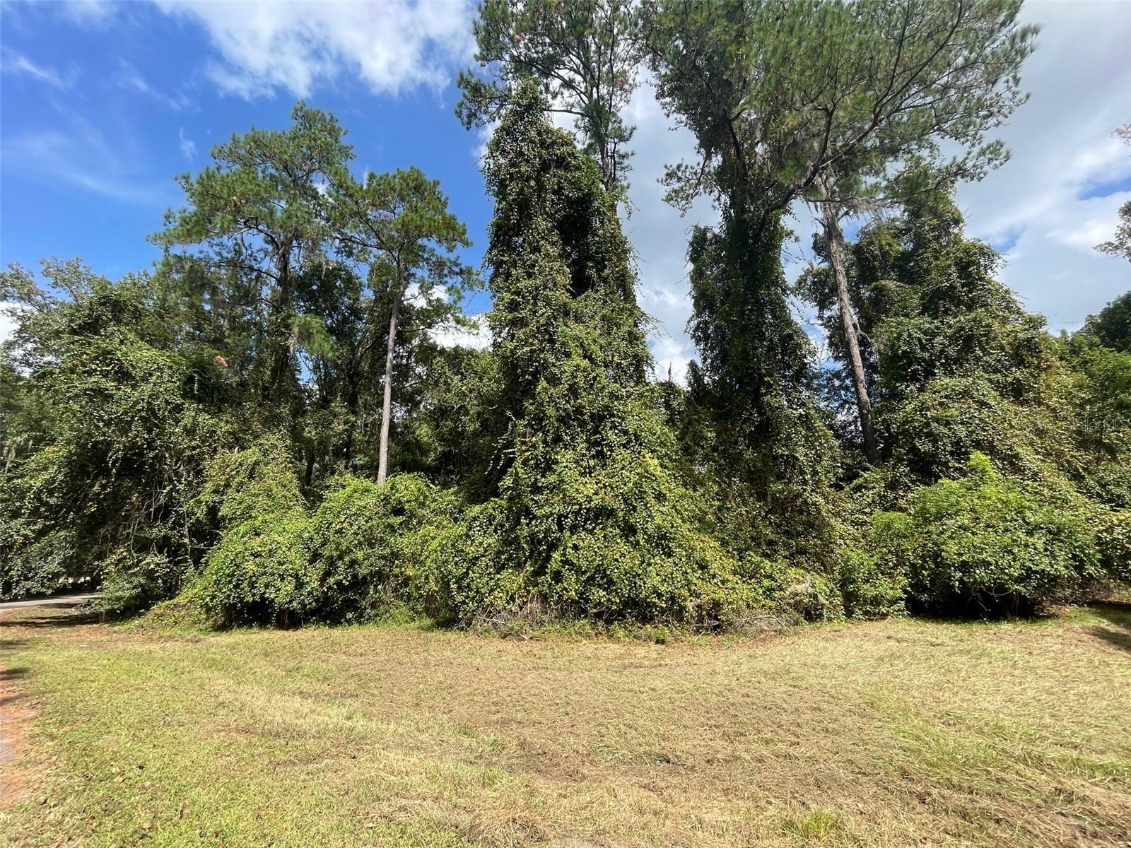 90TH, GAINESVILLE, Land,  for sale, PROPERTY EXPERTS 