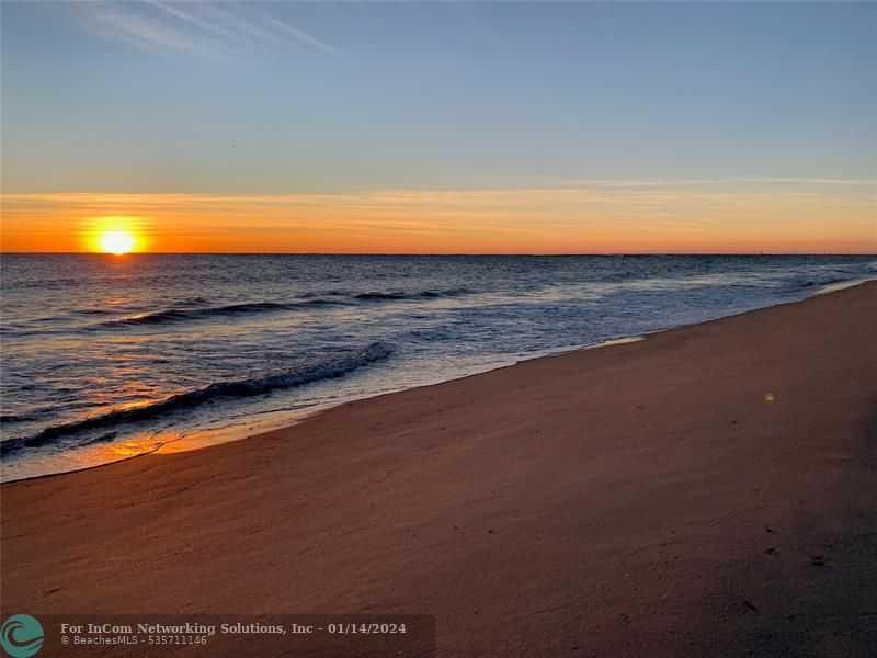 1551 Ocean Ln 273, Fort Lauderdale, Condo/Co-Op/Villa/Townhouse,  for sale, PROPERTY EXPERTS 