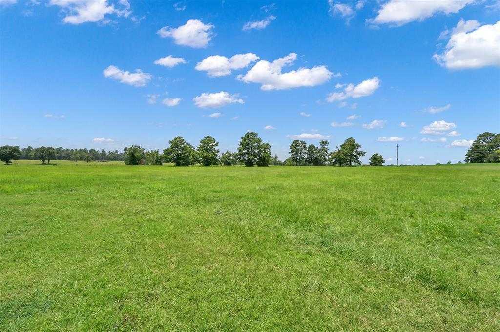 Fm 2854, 28894516, Montgomery, Country Homes/Acreage, PROPERTY EXPERTS 