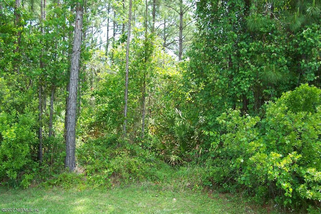 6764 Sabal Palm, 371229, St Augustine, Unimproved Land,  sold, PROPERTY EXPERTS 