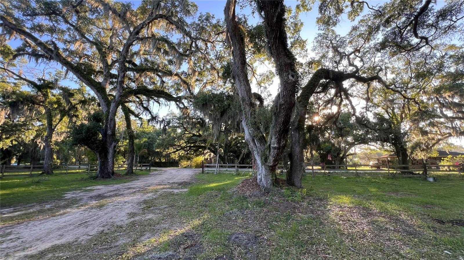 5531 EUREKA SPRINGS RD, TAMPA, Land,  for sale, PROPERTY EXPERTS 