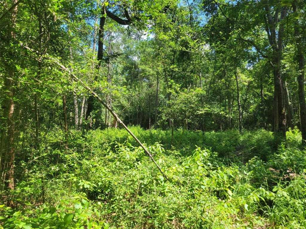 228 Feldspar, 32598350, Huntsville, Lots,  for sale, PROPERTY EXPERTS 