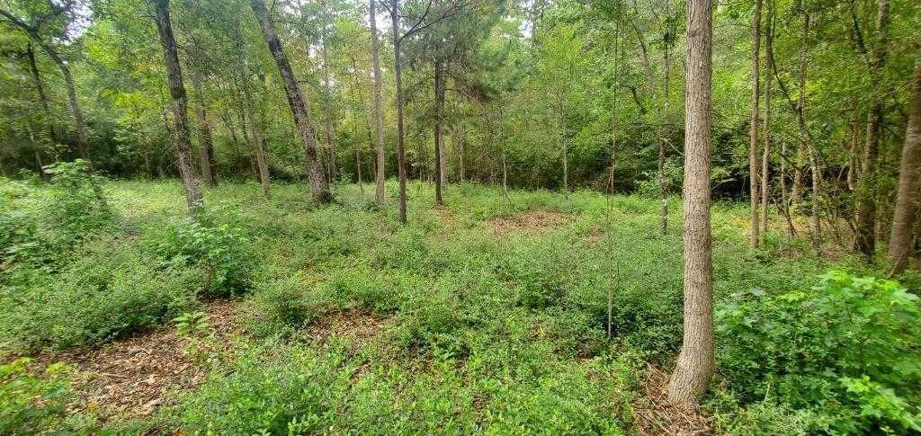 10 Granite, 12552876, Huntsville, Lots,  for sale, PROPERTY EXPERTS 