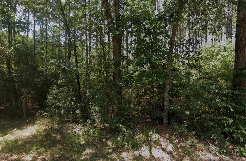 HIDDEN FOREST EST 04, 57187957, Montgomery, Lots,  for sale, PROPERTY EXPERTS 