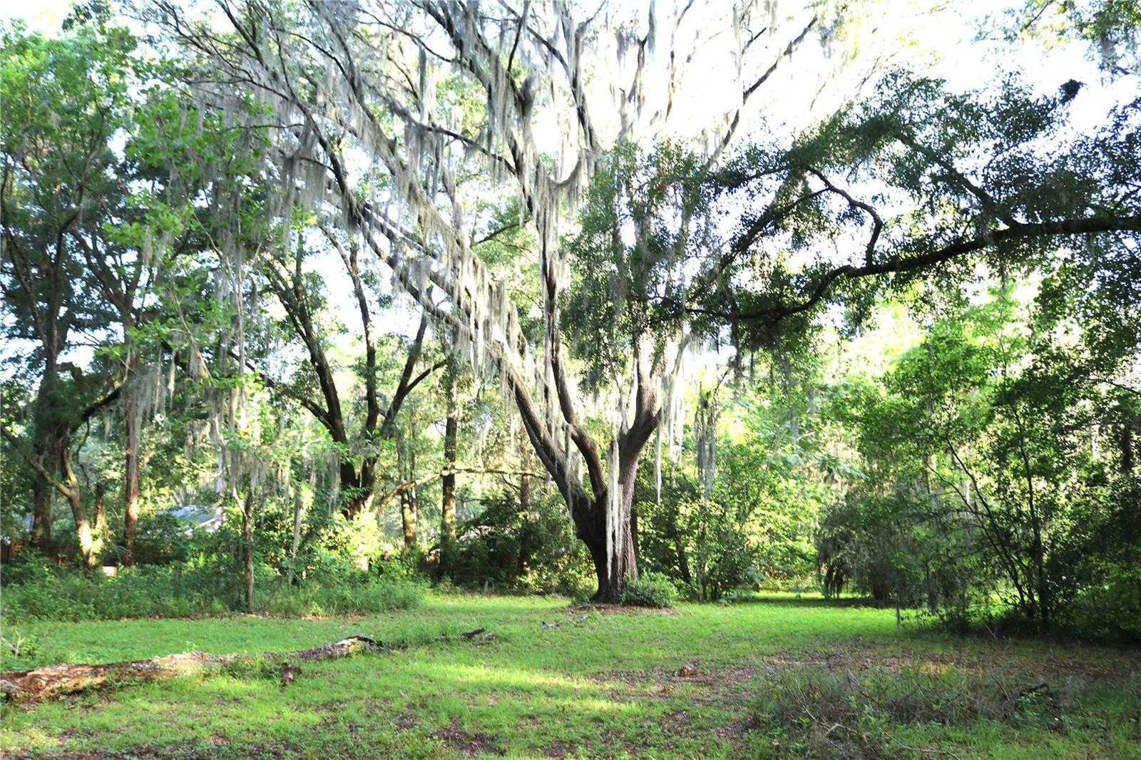 2539 31ST, GAINESVILLE, Land,  for sale, PROPERTY EXPERTS 