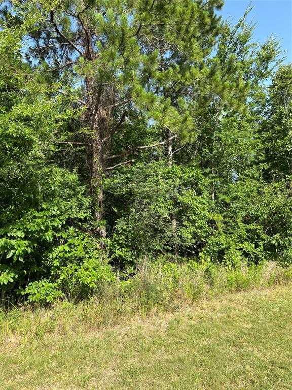 North FM356, 42053161, Onalaska, Lots,  for sale, PROPERTY EXPERTS 