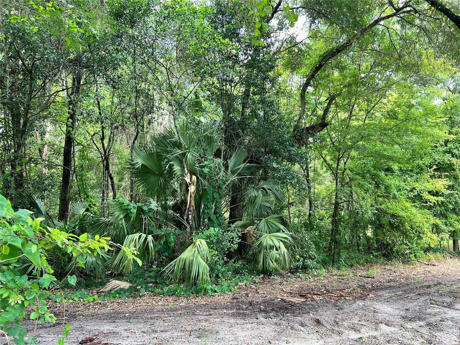 4929 63RD, GAINESVILLE, Land,  for sale, PROPERTY EXPERTS 