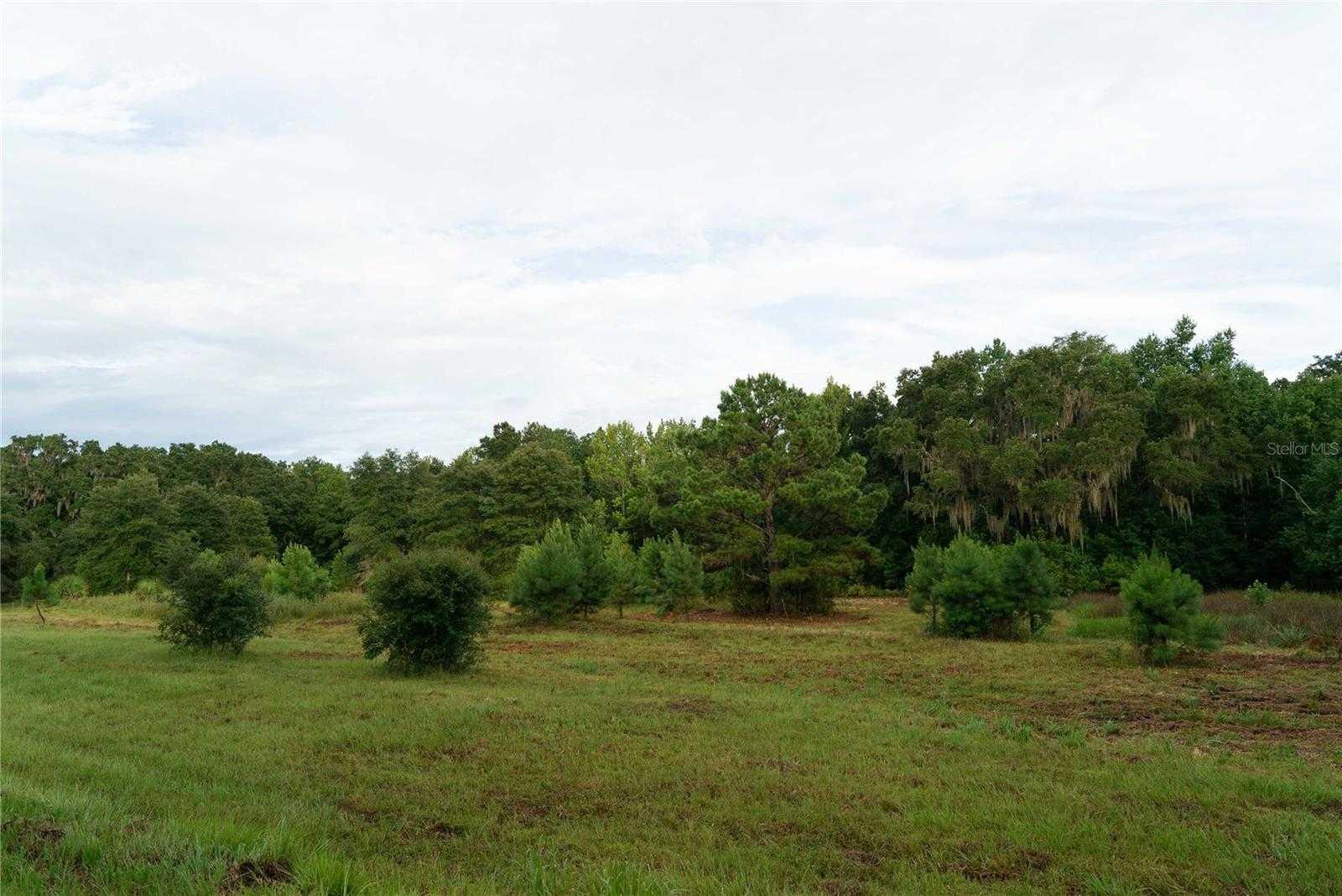 2304 63RD, GAINESVILLE, Land,  for sale, PROPERTY EXPERTS 