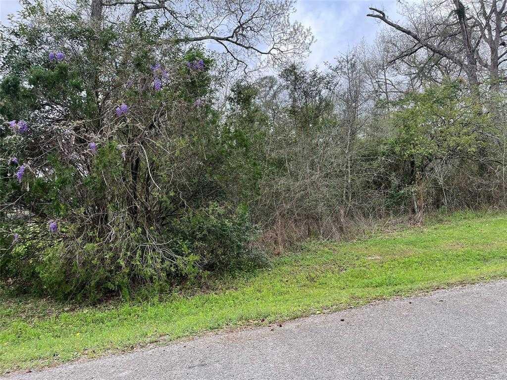 Sam Houston, 38348603, Willis, Lots,  for sale, PROPERTY EXPERTS 