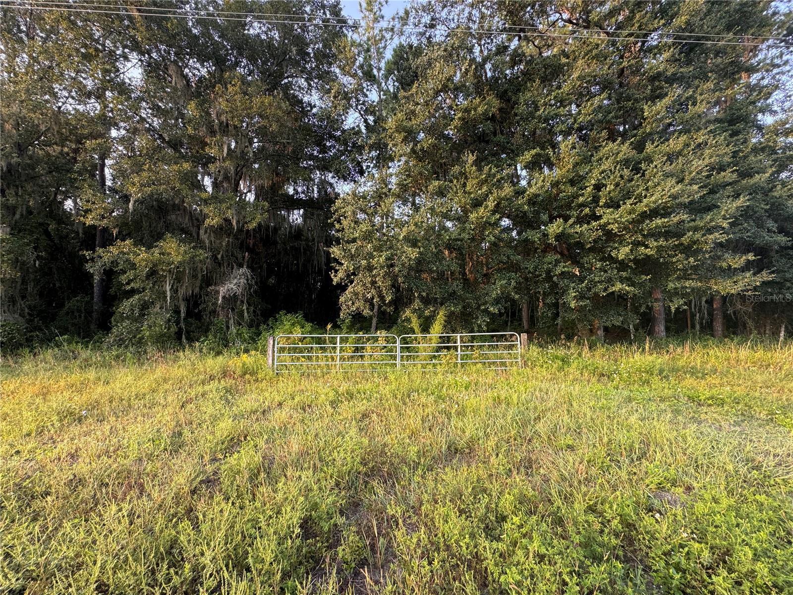 HAWTHORNE, GAINESVILLE, Land,  for sale, PROPERTY EXPERTS 