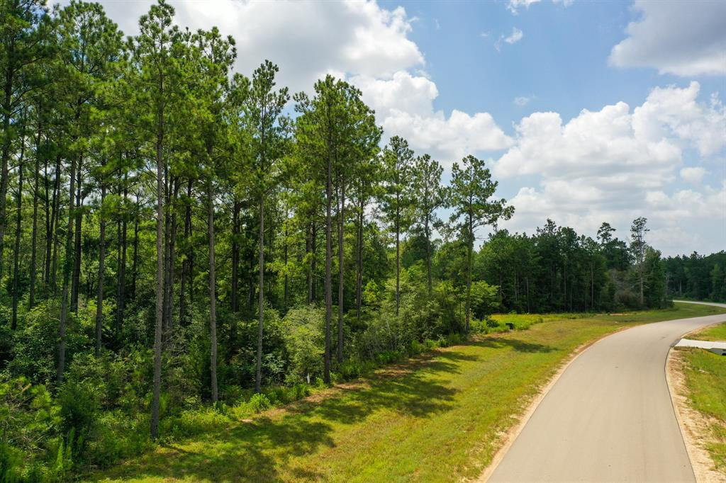 10784 Ruger Road, 23736476, Willis, Lots,  for sale, PROPERTY EXPERTS 