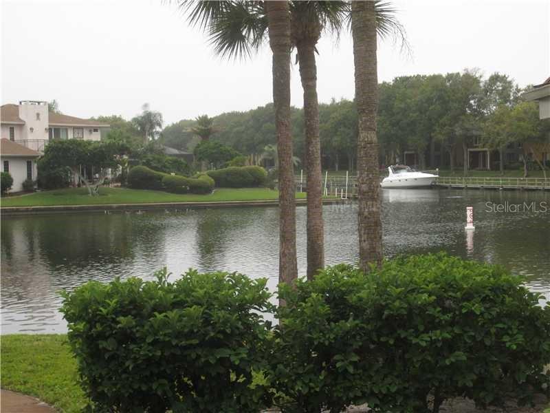 6314 NEWTOWN 14B4, TAMPA, Apartment,  for rent, PROPERTY EXPERTS 