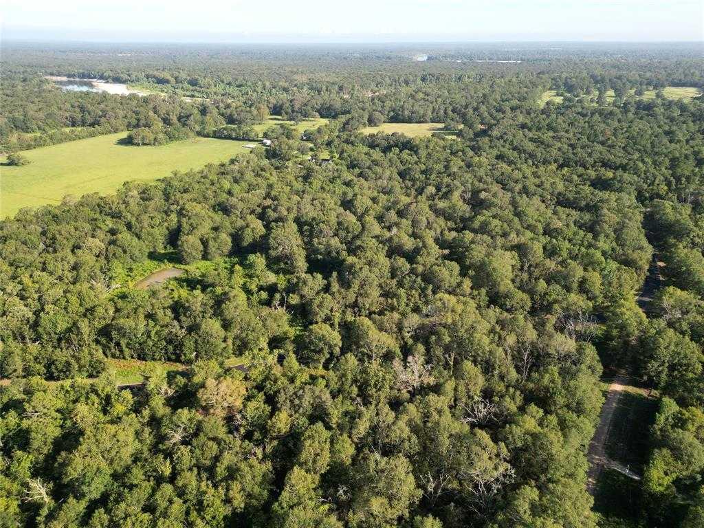 County Road 2856, 12996253, Cleveland, Lots,  for sale, PROPERTY EXPERTS 