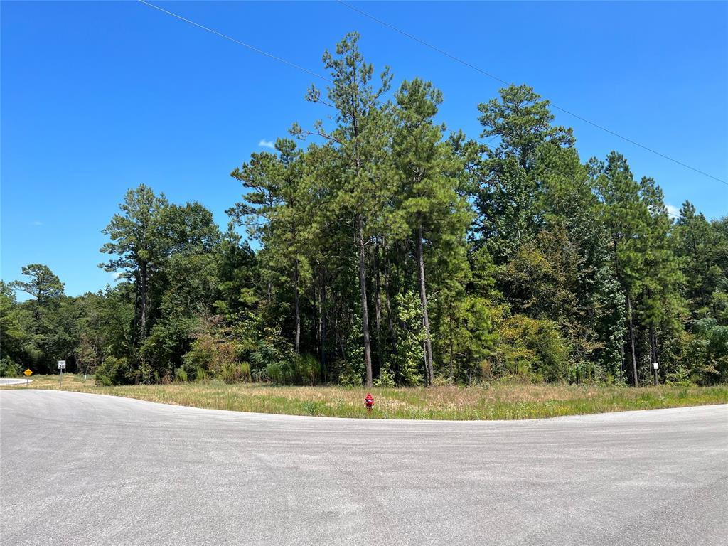 70 Wagon Pass, 59905537, Huntsville, Lots,  for sale, PROPERTY EXPERTS 