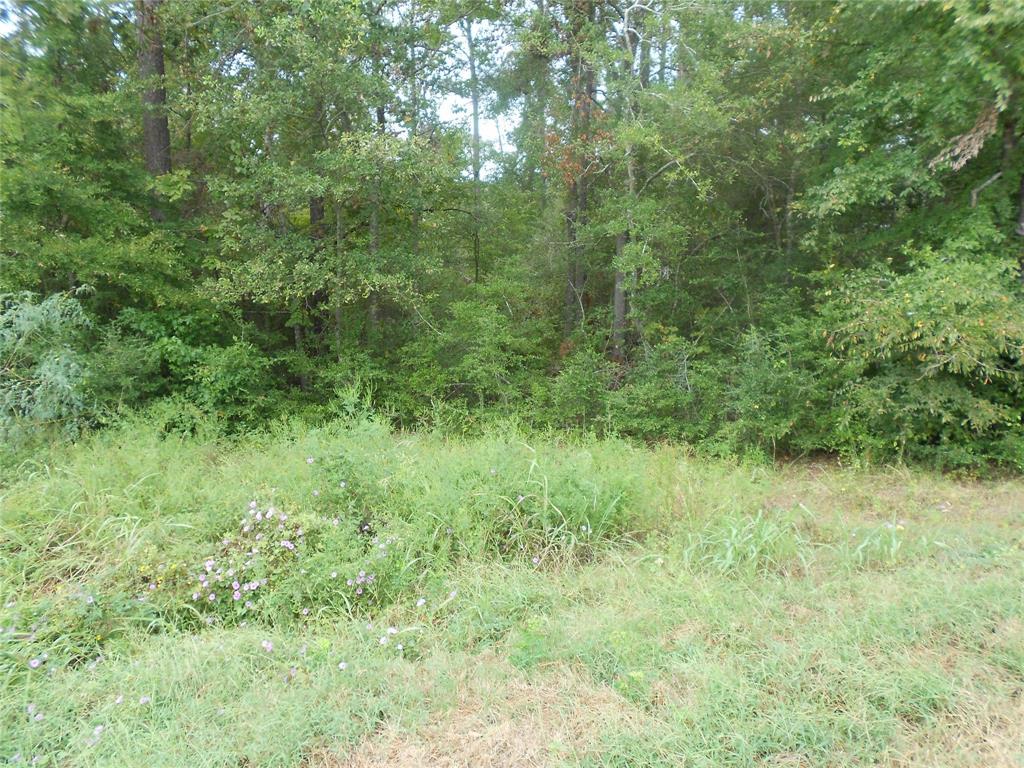 957 Fm 356, 85630434, Onalaska, Lots,  for sale, PROPERTY EXPERTS 