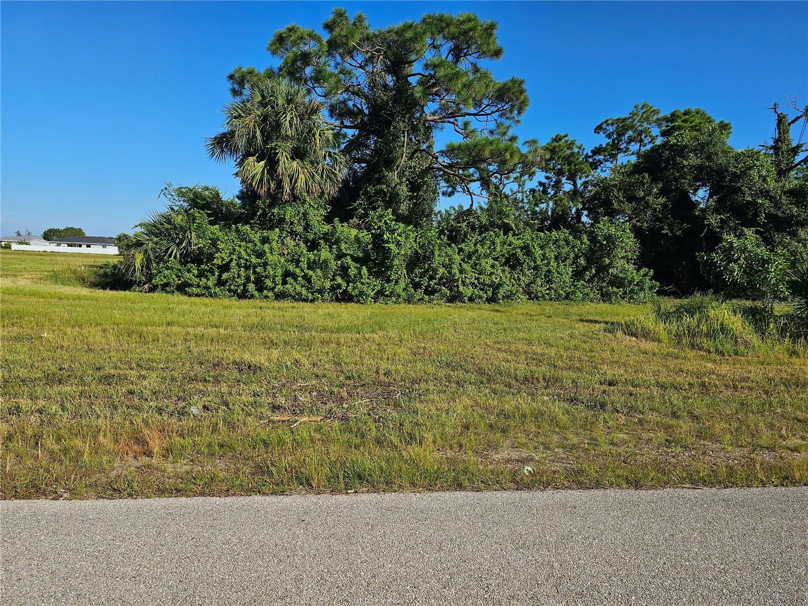 1007 CEITUS, CAPE CORAL, Land,  for sale, PROPERTY EXPERTS 