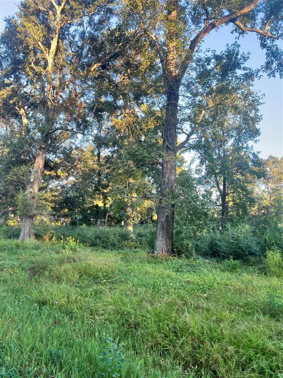 917 County Road 2286, 37721987, Cleveland, Lots,  for sale, PROPERTY EXPERTS 